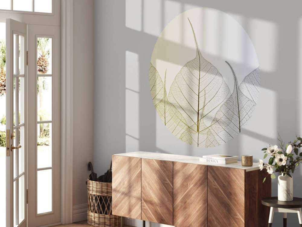 Skeleton leaves on coloured background