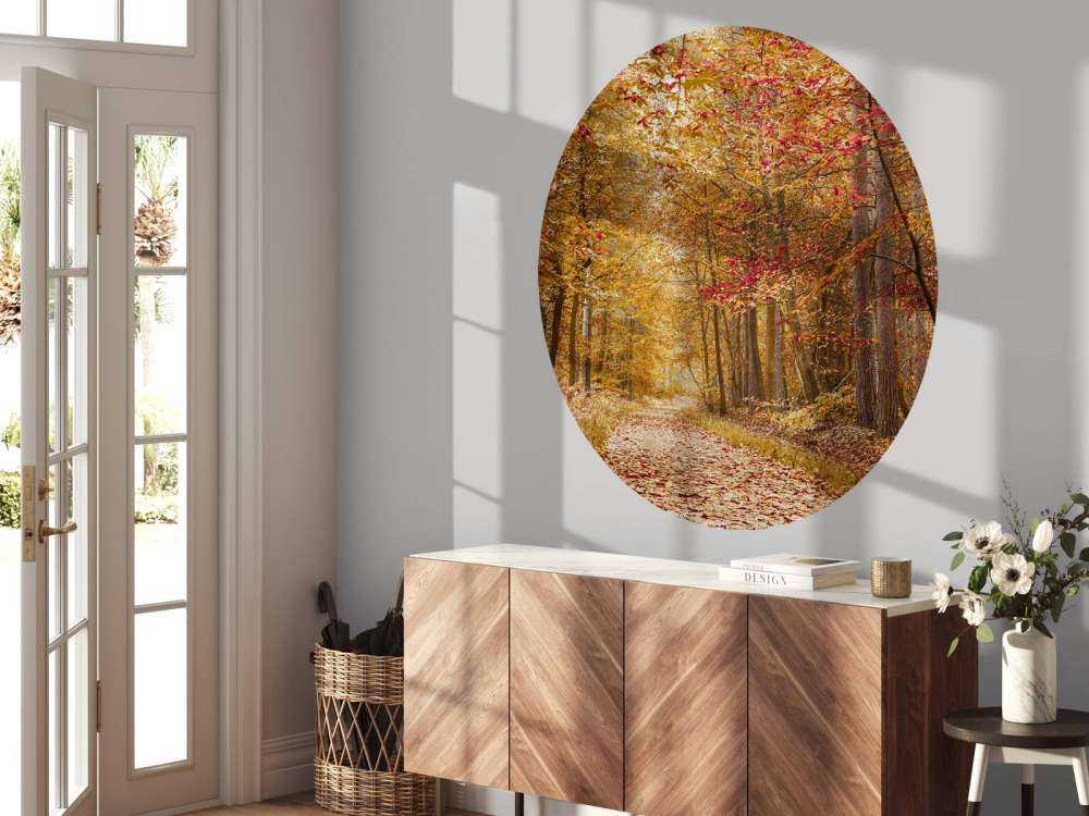 Pathway through Autumn forest