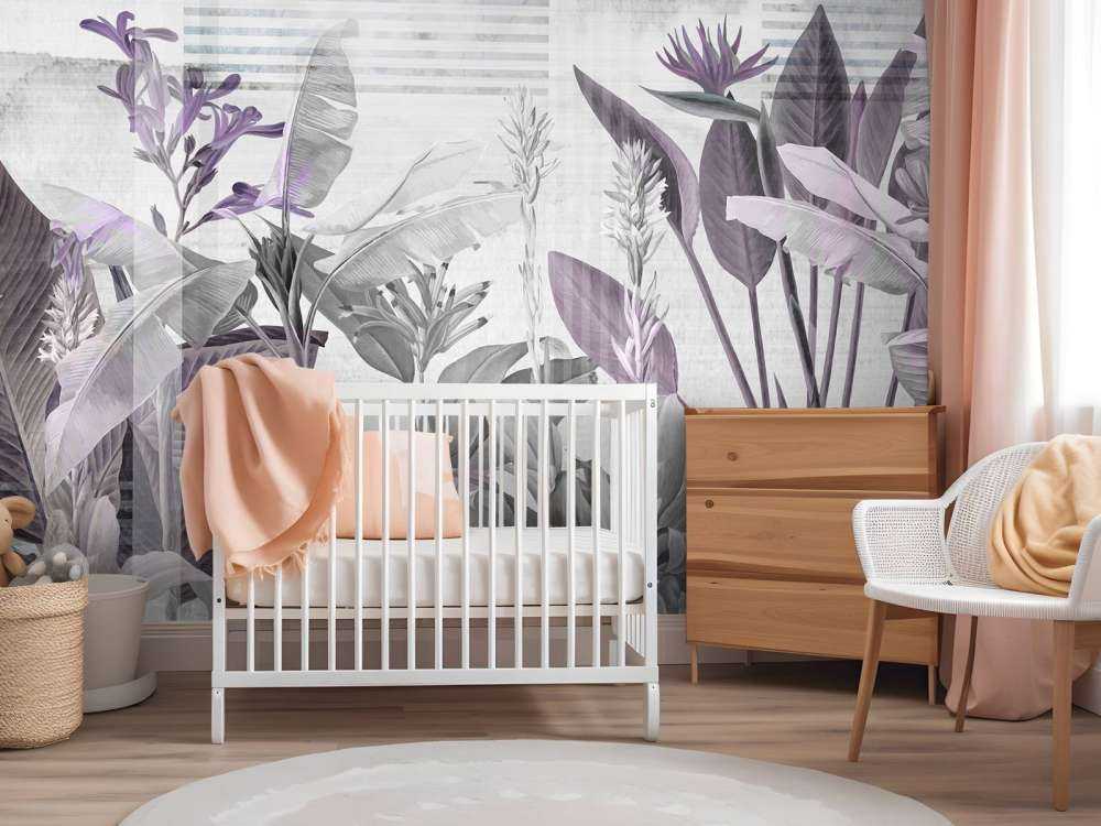 Dreams and Tropics 5