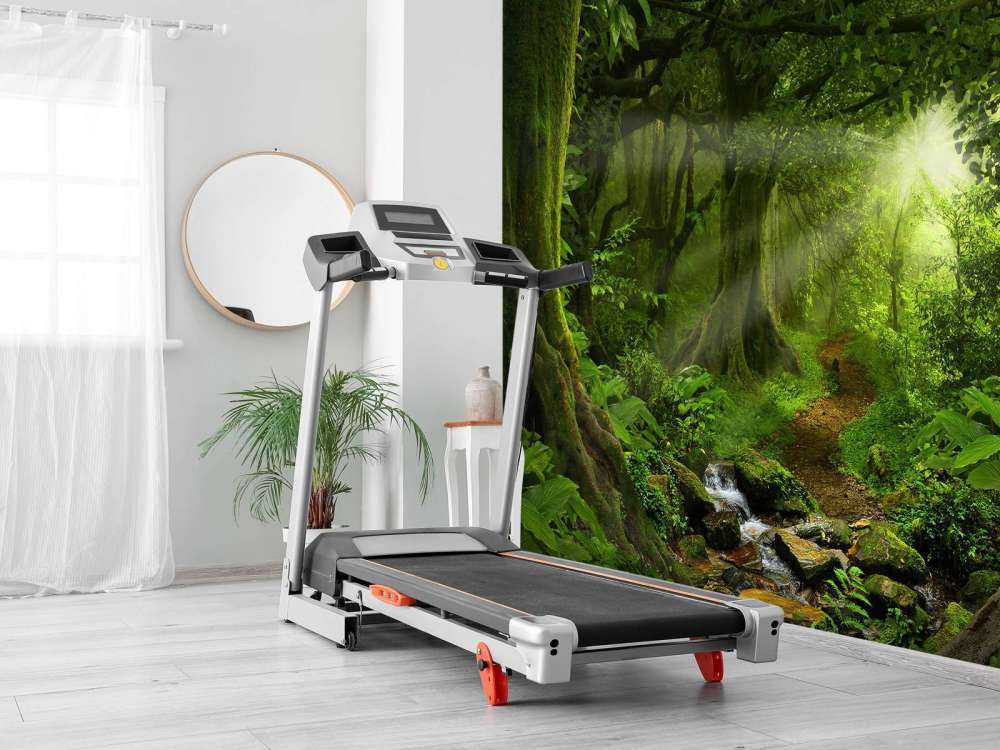 Tropische jungle met zonlicht