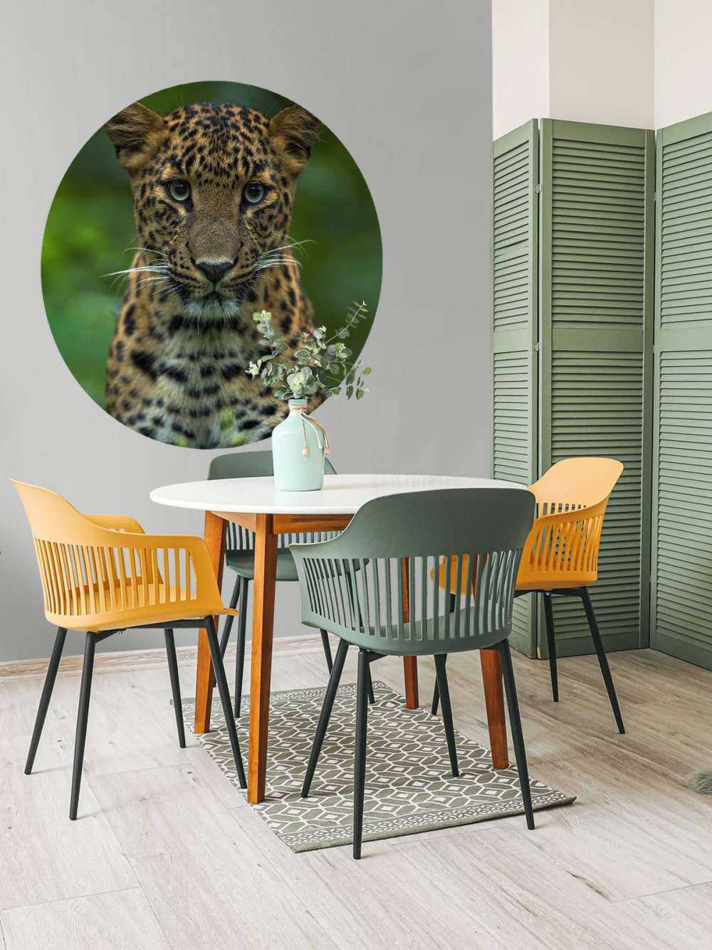 Geconcentreerde luipaard