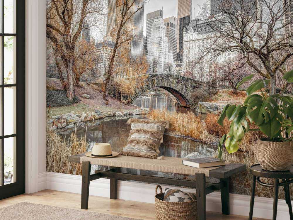 Central park in de winter