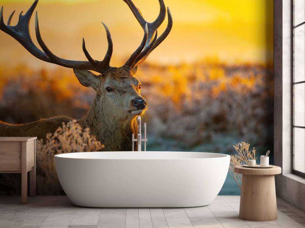 Hert in natuurgebied