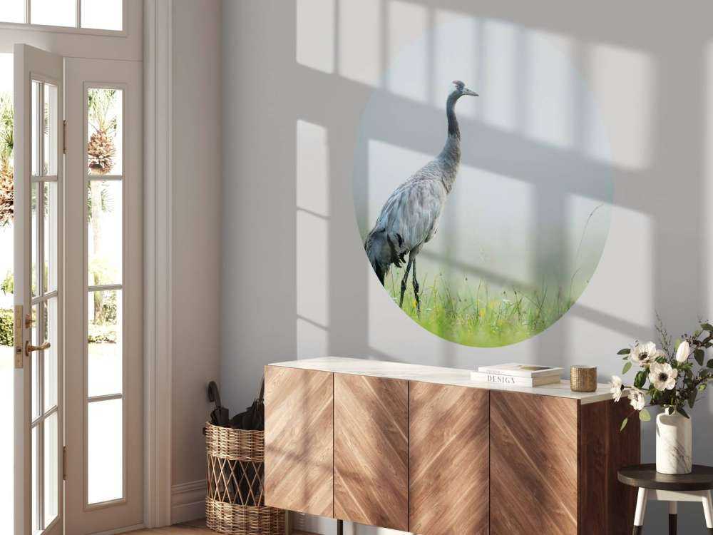 Kraanvogel in de ochtendmist