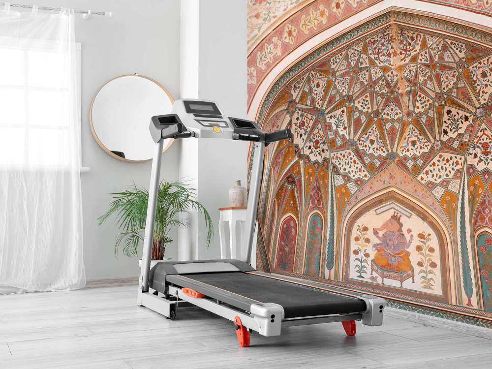 Rijk beschilderde Indiase boog 