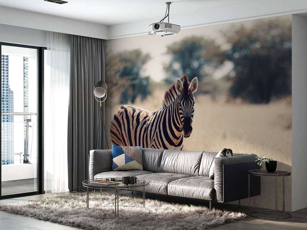 Zebra in het wild