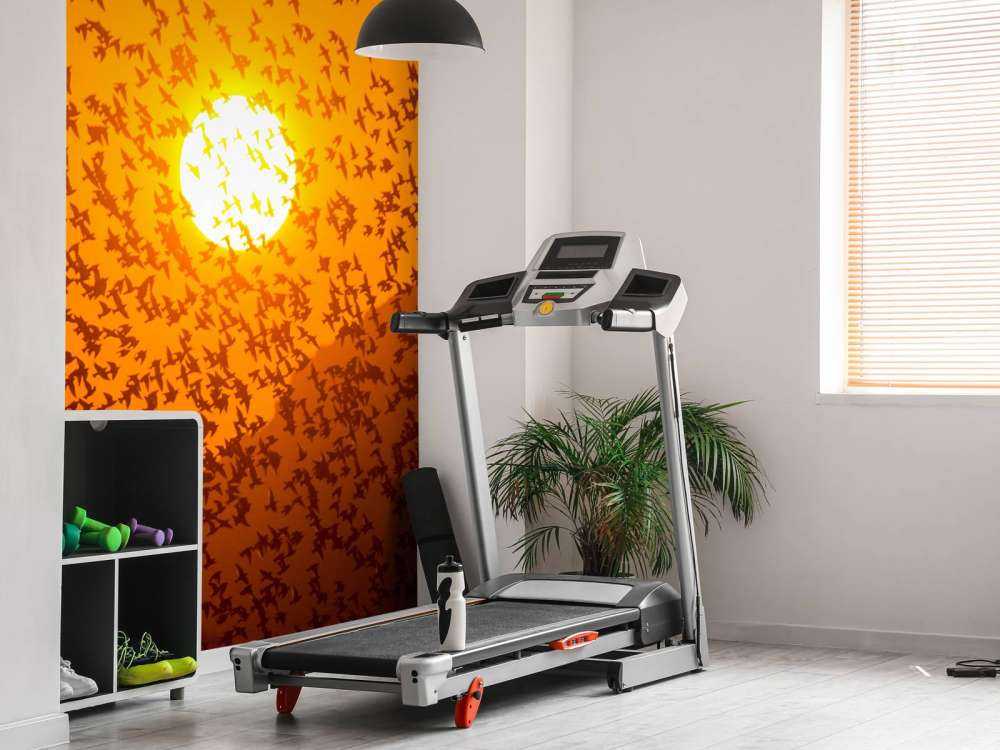 Grote groep vogels bij zonsondergang