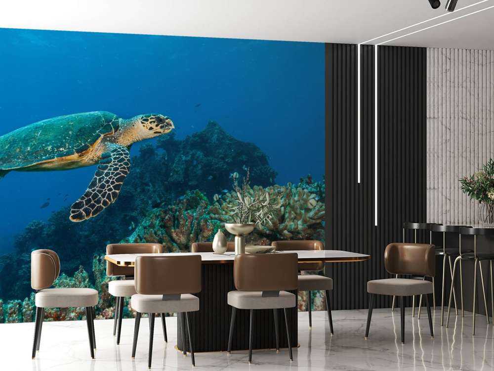 Karetschildpad bij een koraalrif