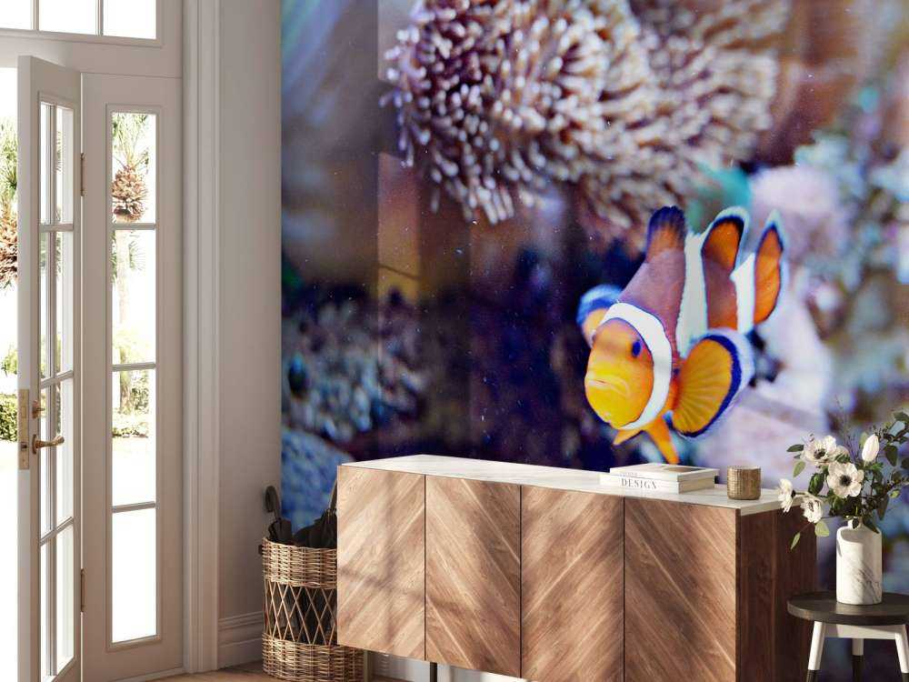 Anemoonvis in een koraalrif