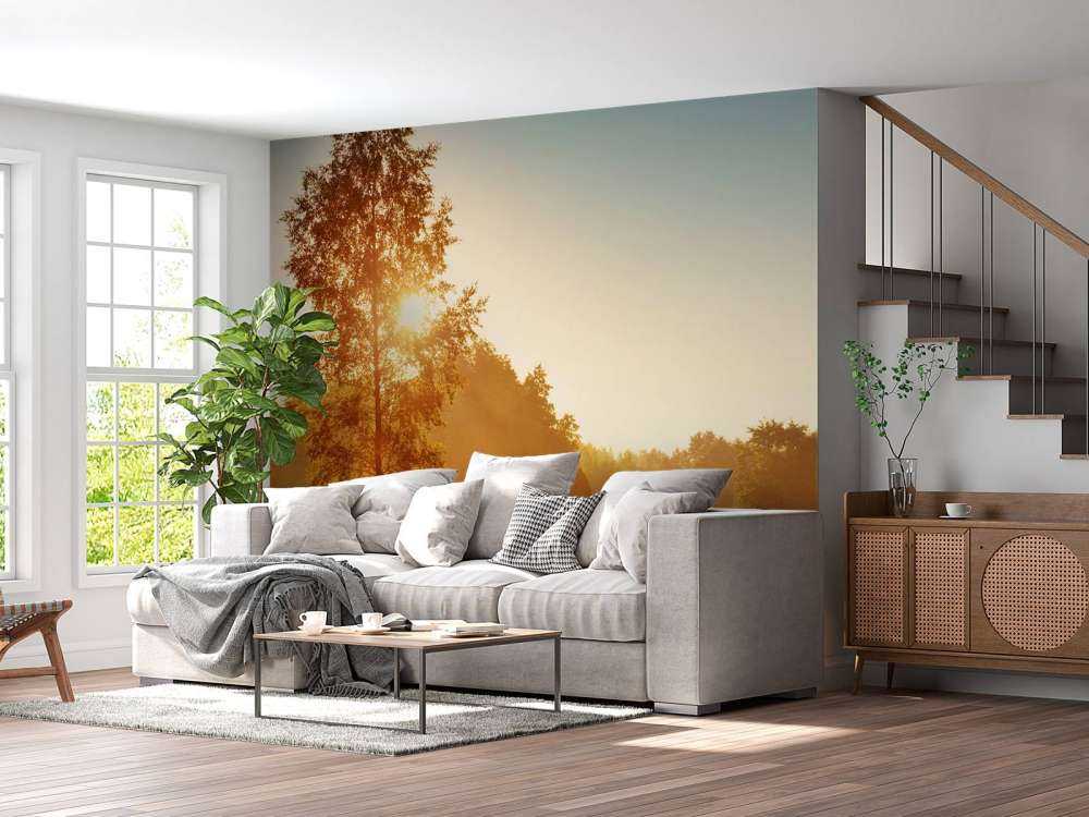 Weiland bij zonsopkomst