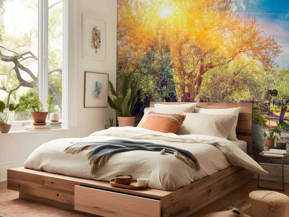 De Gethsemane olijven boomgaard bij zonsopkomst