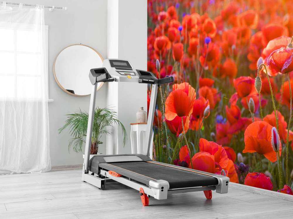 Klaprozen close-up bij zonsondergang