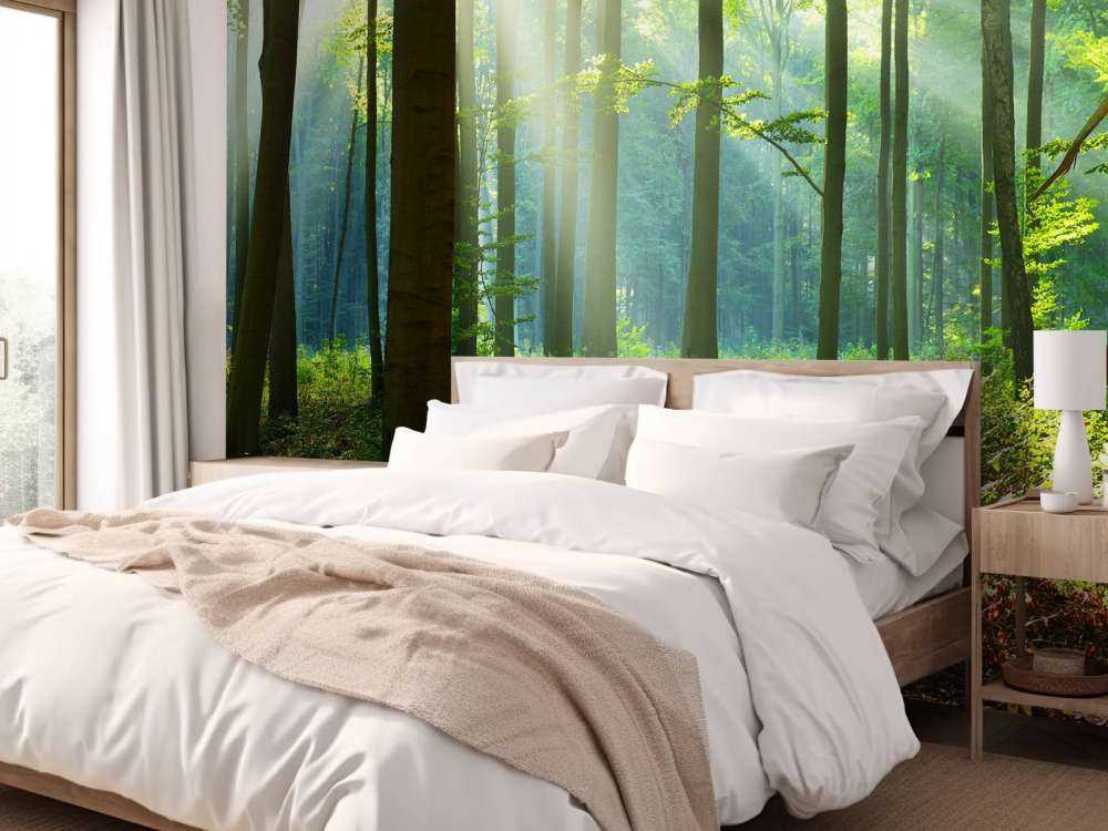 s Ochtends in het bos