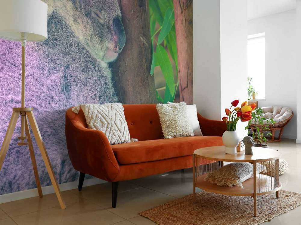 Koala aan het slapen