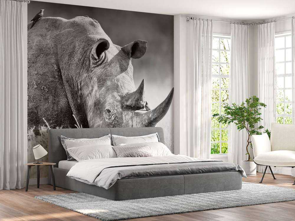 Neushoorn in zwart-wit