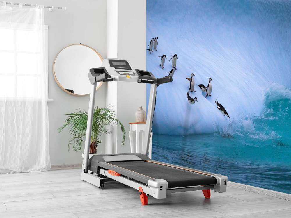 Pinguïns glijden van een helling af