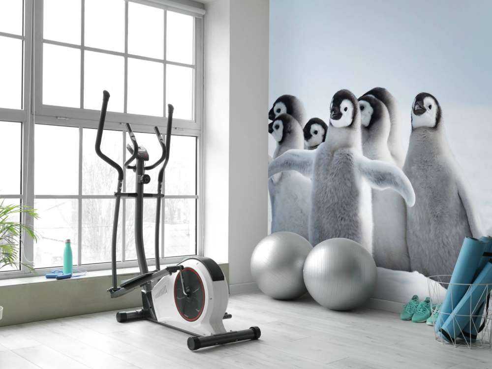 Keizerspinguïns in de sneeuw