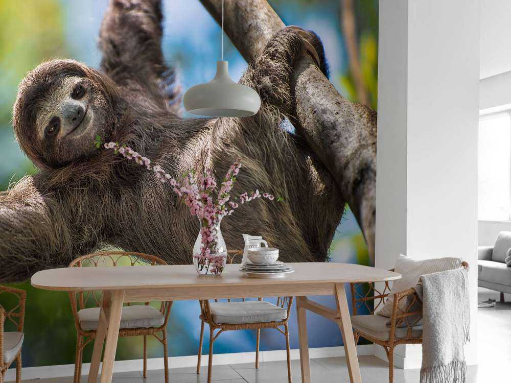 Gelukkige luiaard in het oerwoud