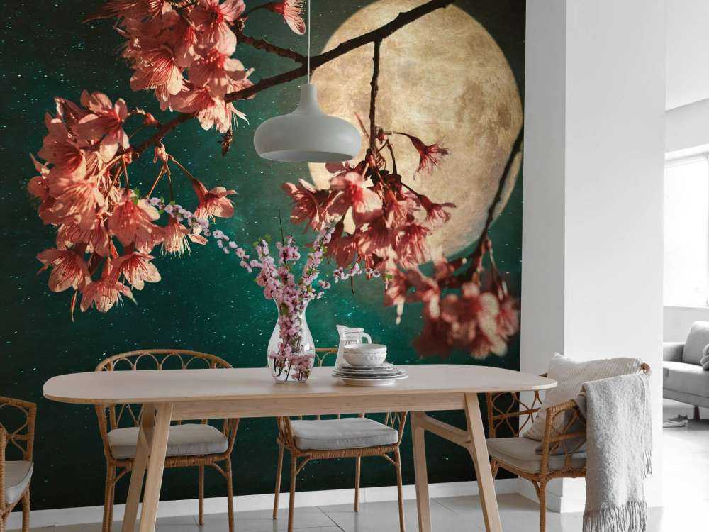 Kersenbloesem met de maan op de achtergrond