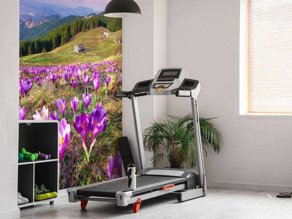 Bloemenveld van krokussen in de bergen