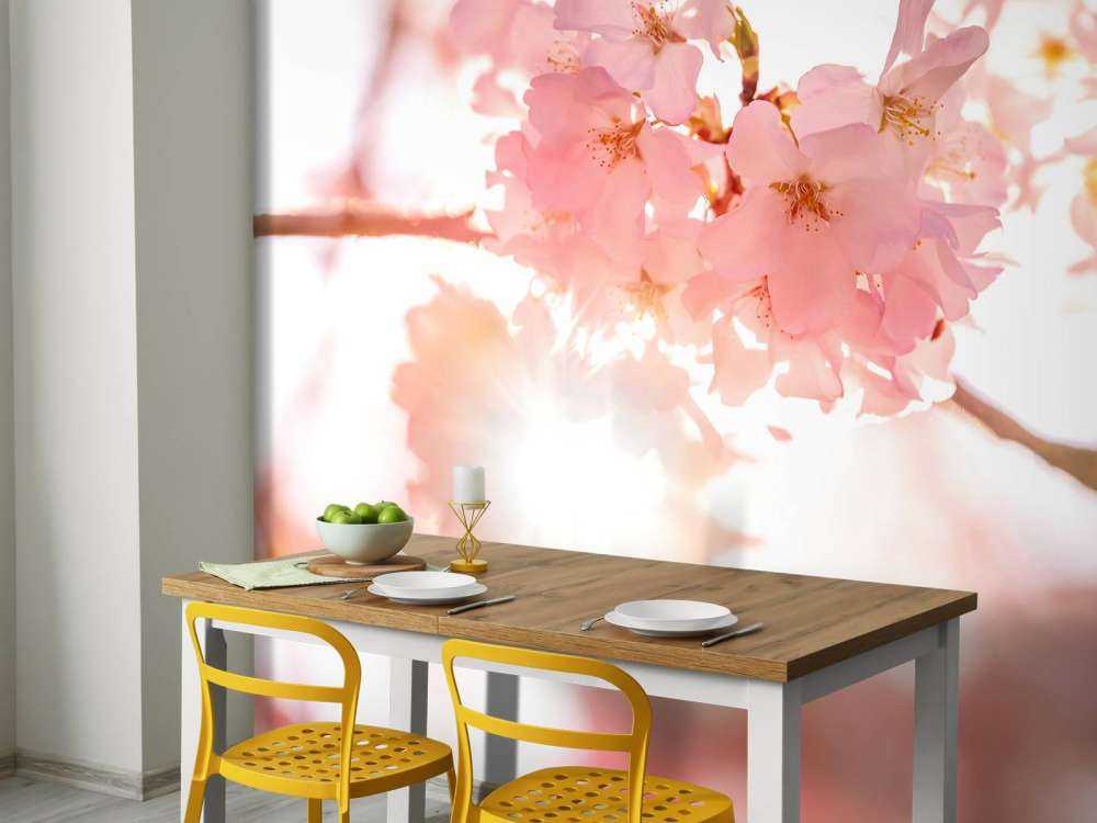 Lichte roze bloesems