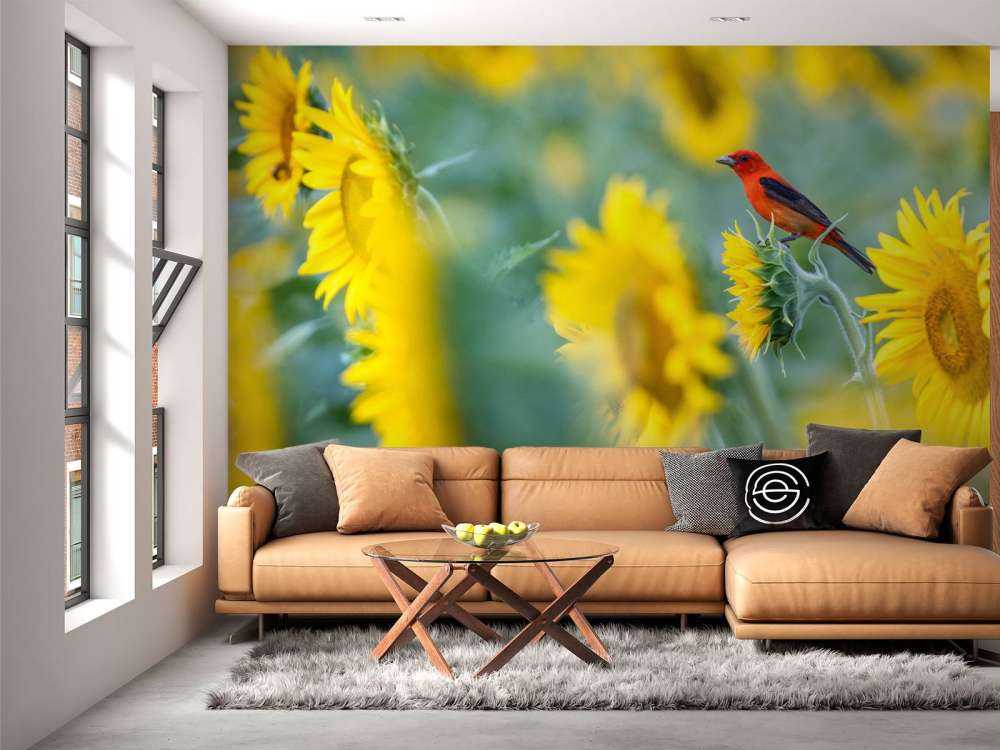 Zonnebloemenveld met rood vogeltje