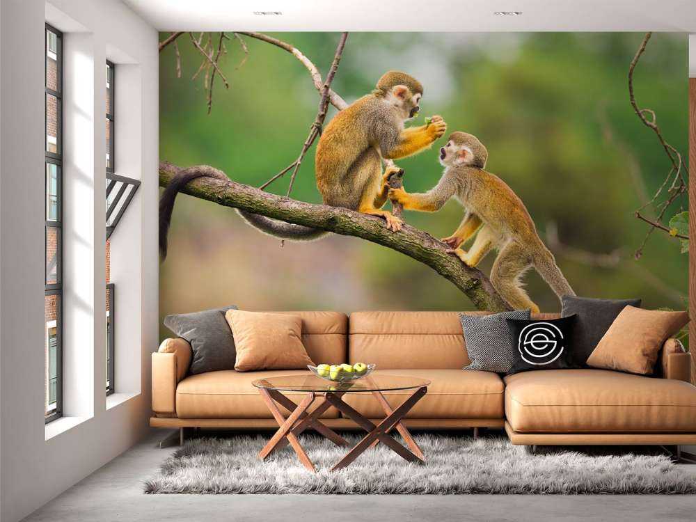 Twee doodshoofdaapjes op een tak