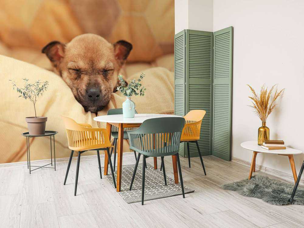 Kleine puppy slaapt op een kussen