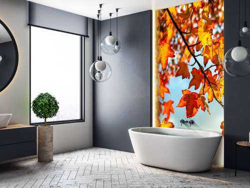 Herfst bladeren