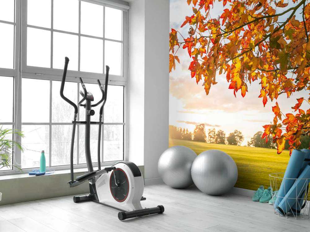 Herfstboom bij zonsondergang