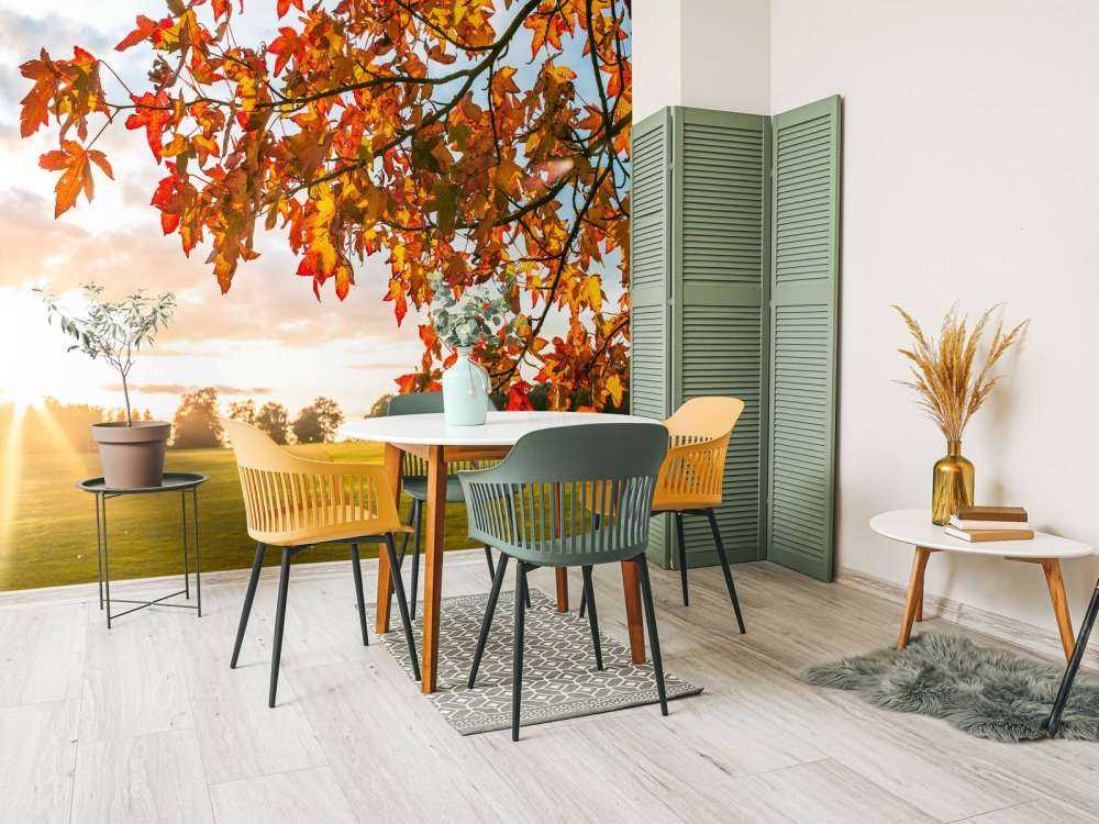 Herfstboom bij zonsondergang