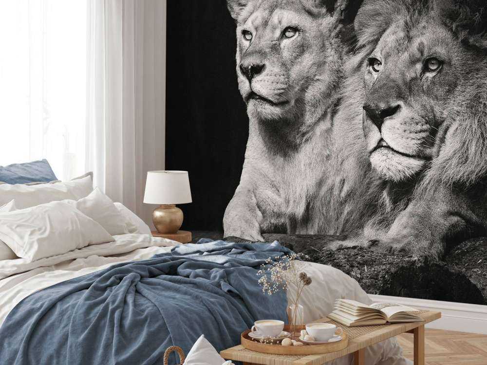 Leeuw & Leeuwin Zwart-Wit