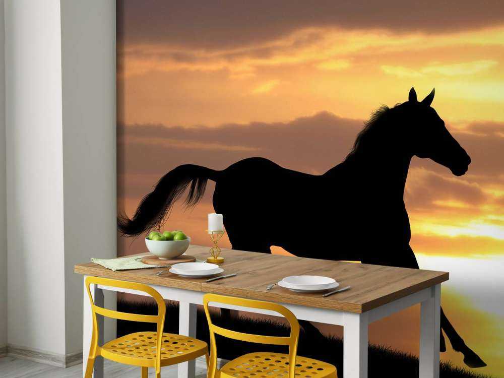 Paard tijdens Zonsondergang