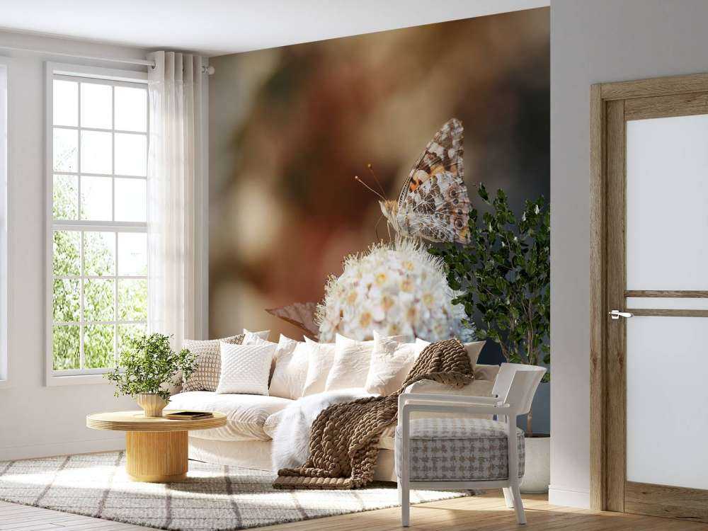 Vlinder op witte bloem