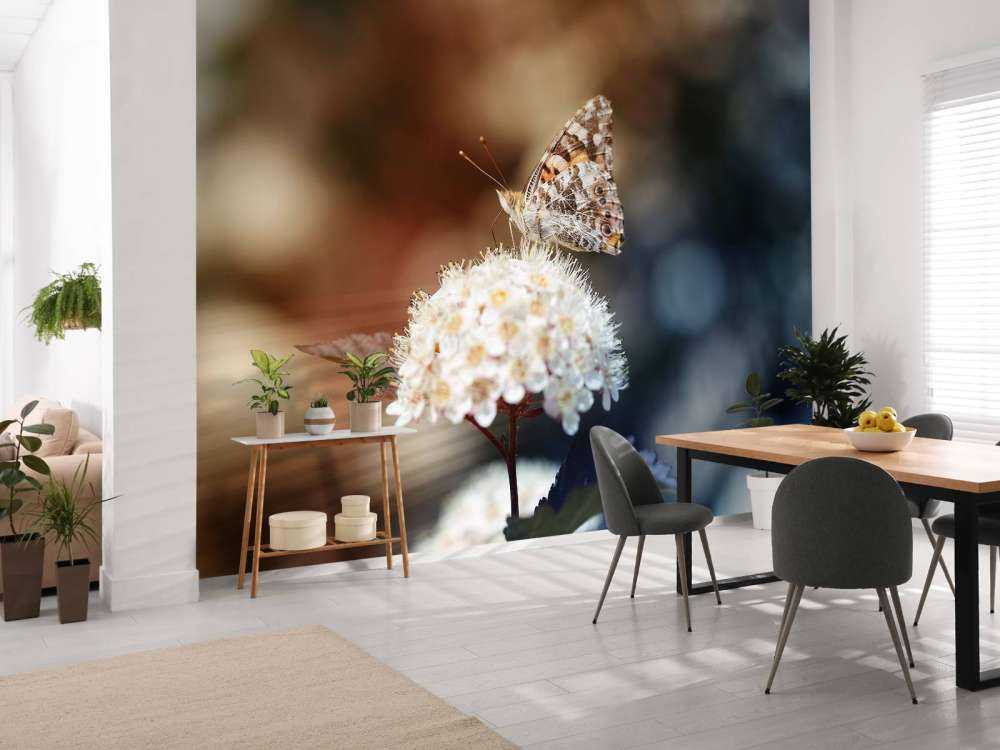 Vlinder op witte bloem