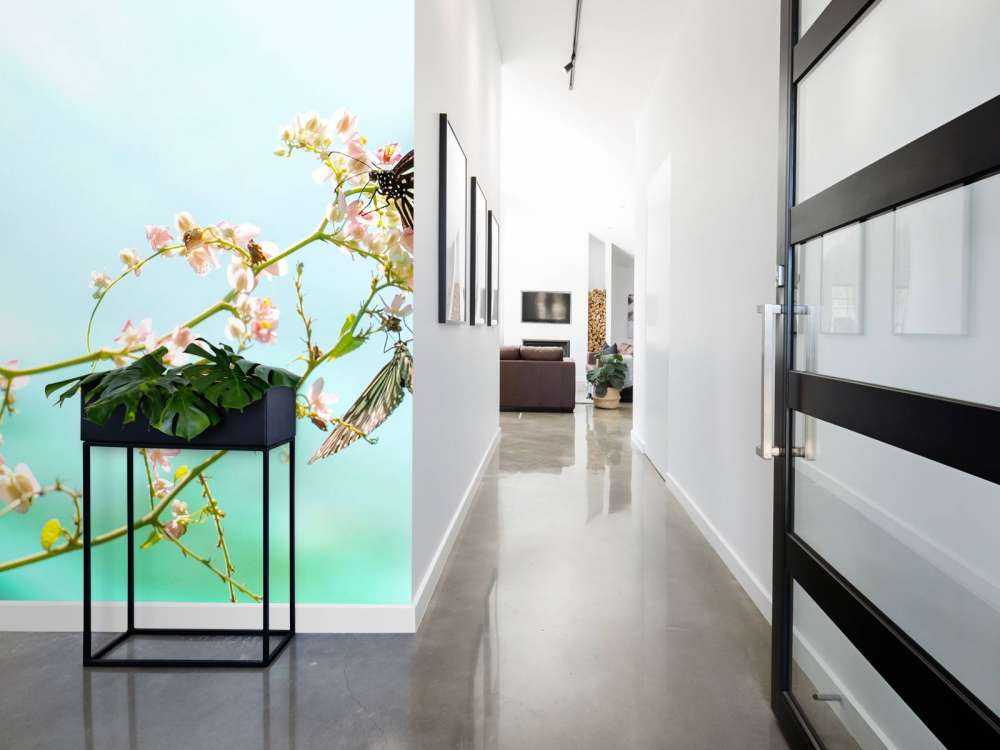 2 Mooie Vlinders op Bloesem