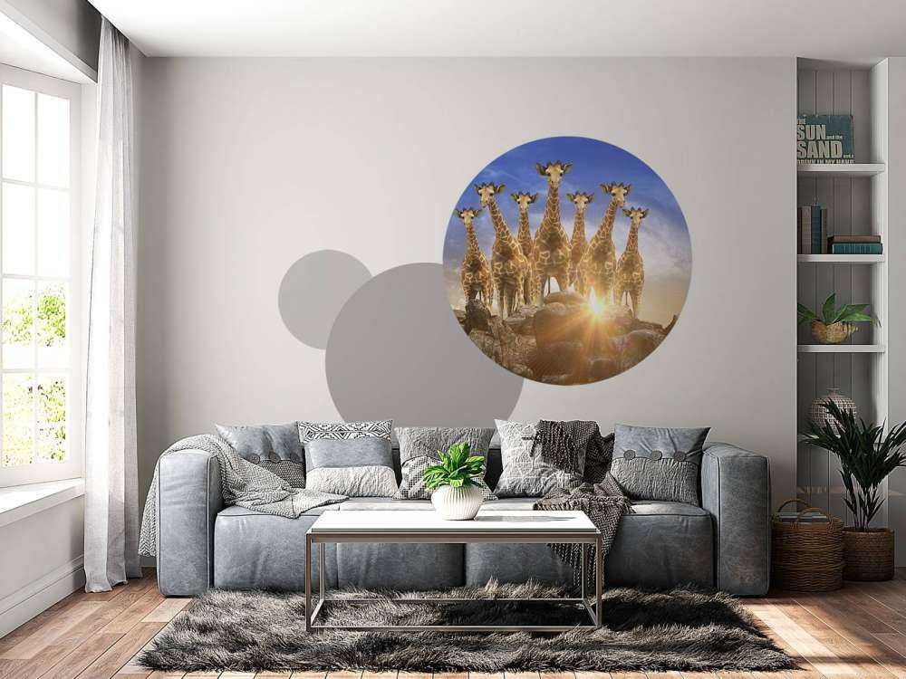 Giraffen bij zonsondergang