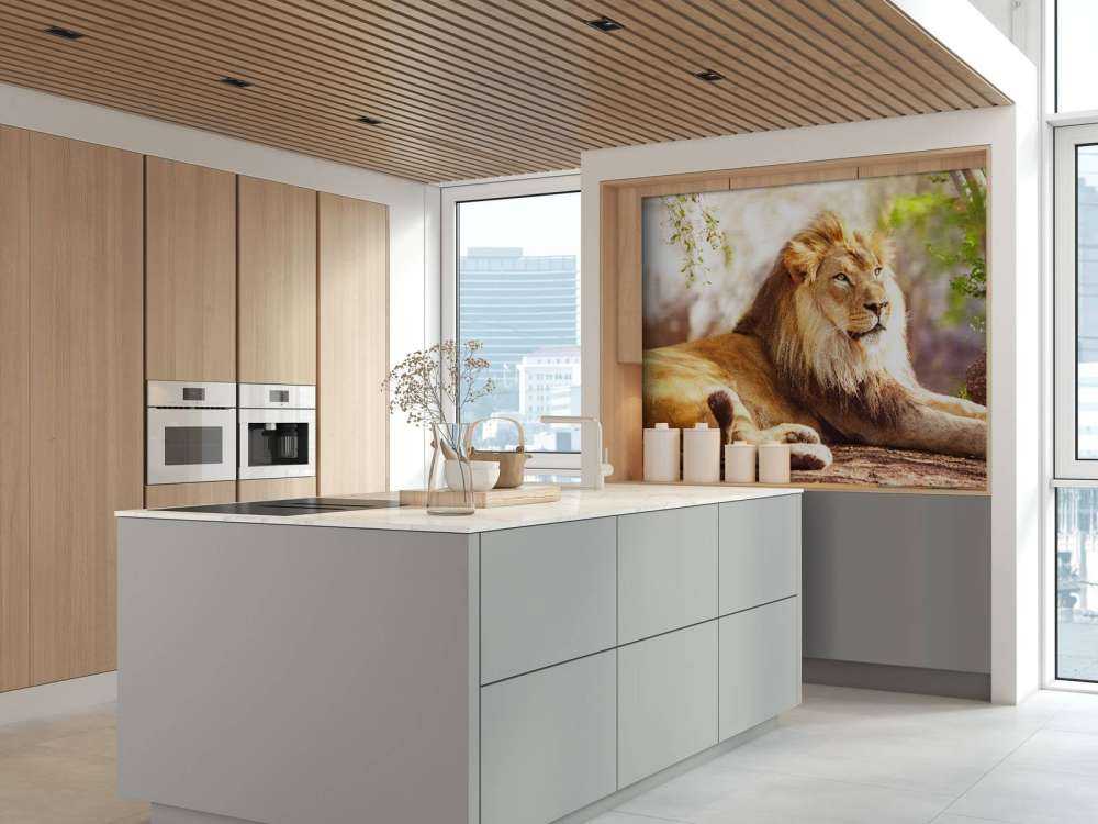 Prachtige Afrikaanse leeuw in de zon