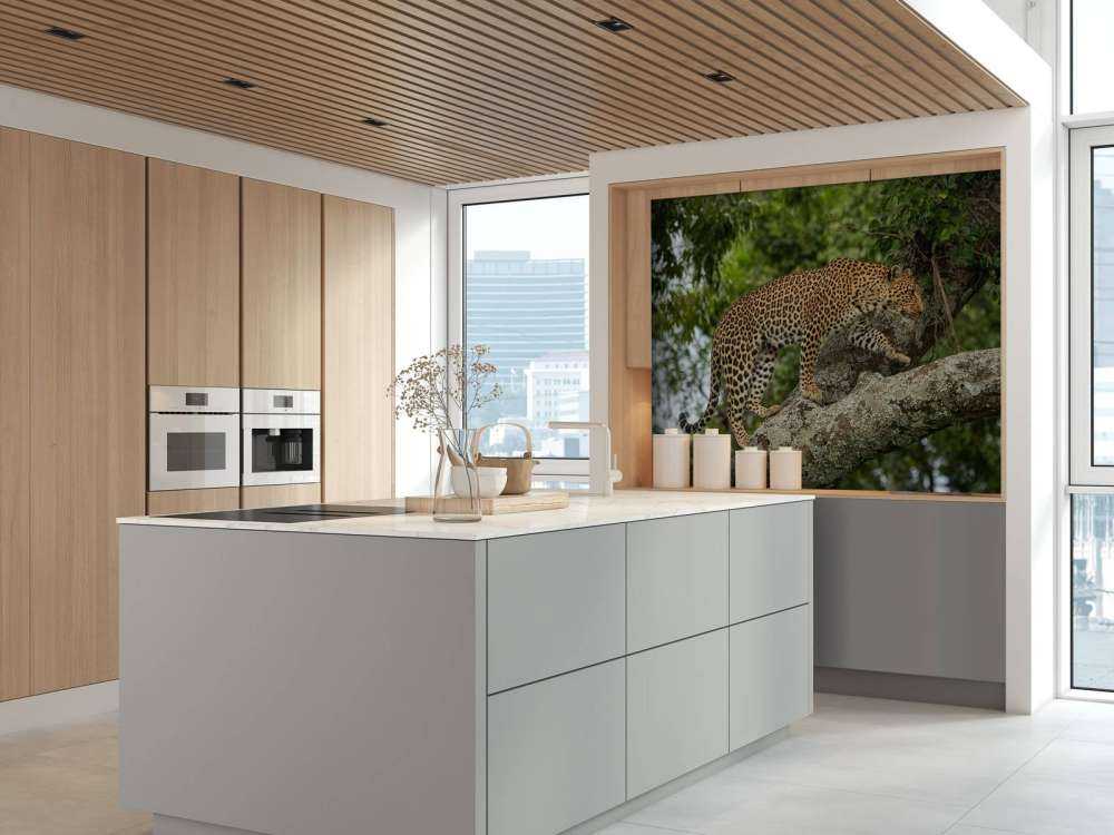 Luipaard klimt in een boom