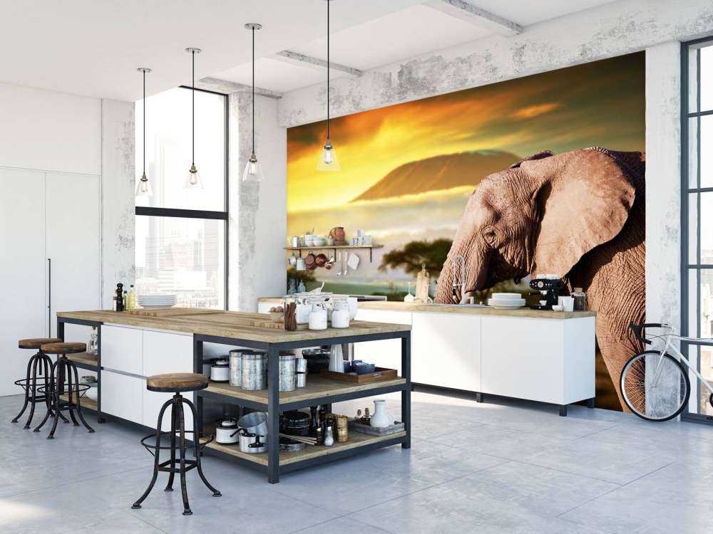 Olifant in een savanne landschap bij zonsondergang