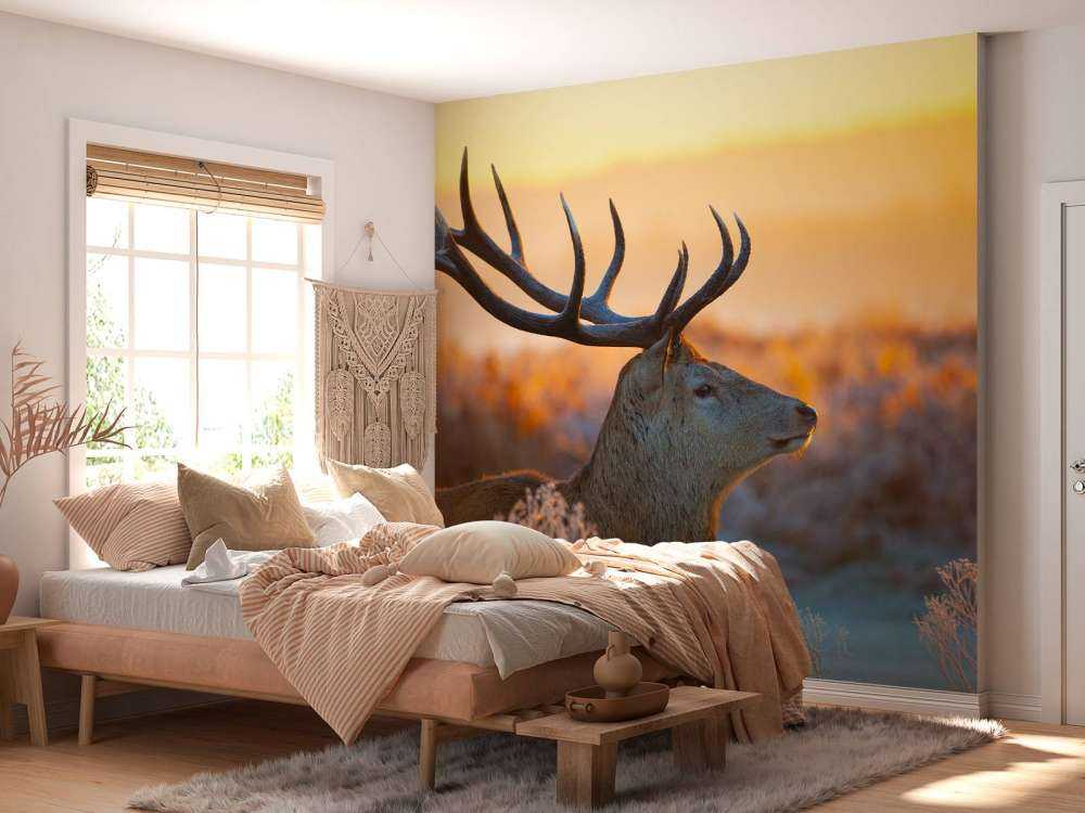 Edelhert met zichtbaar Gewei