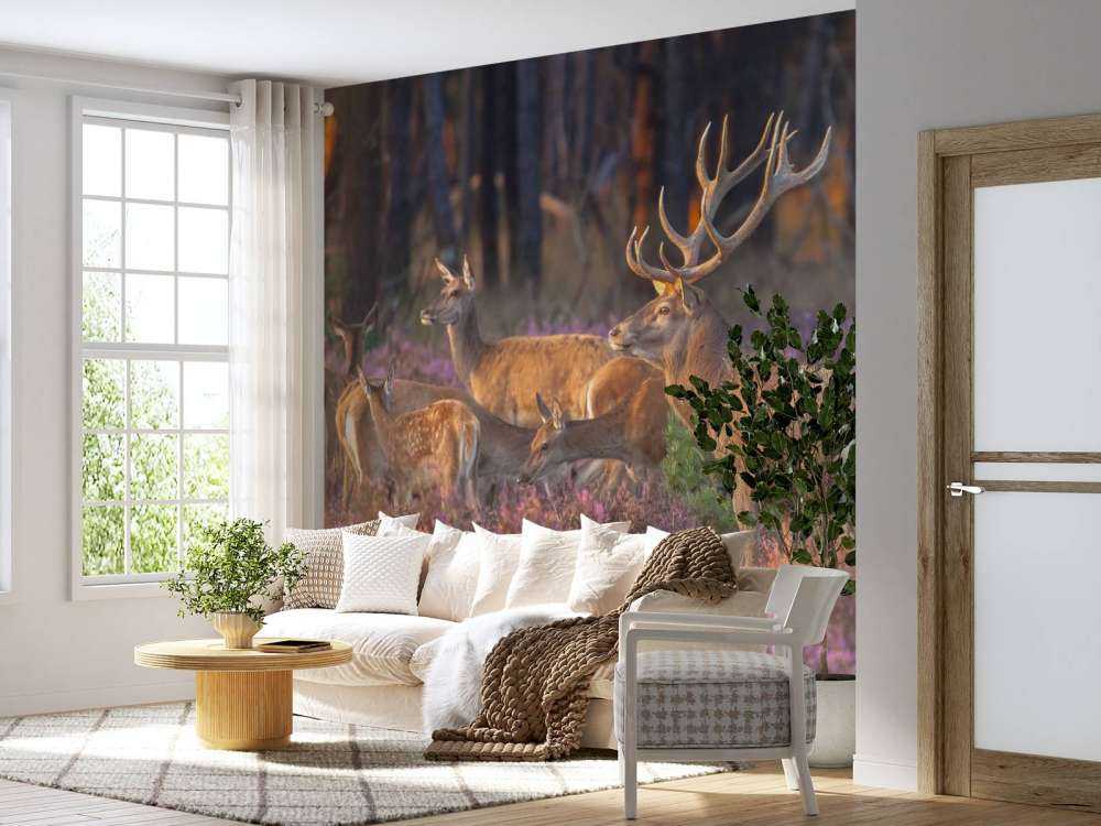 Groep herten op de Veluwe