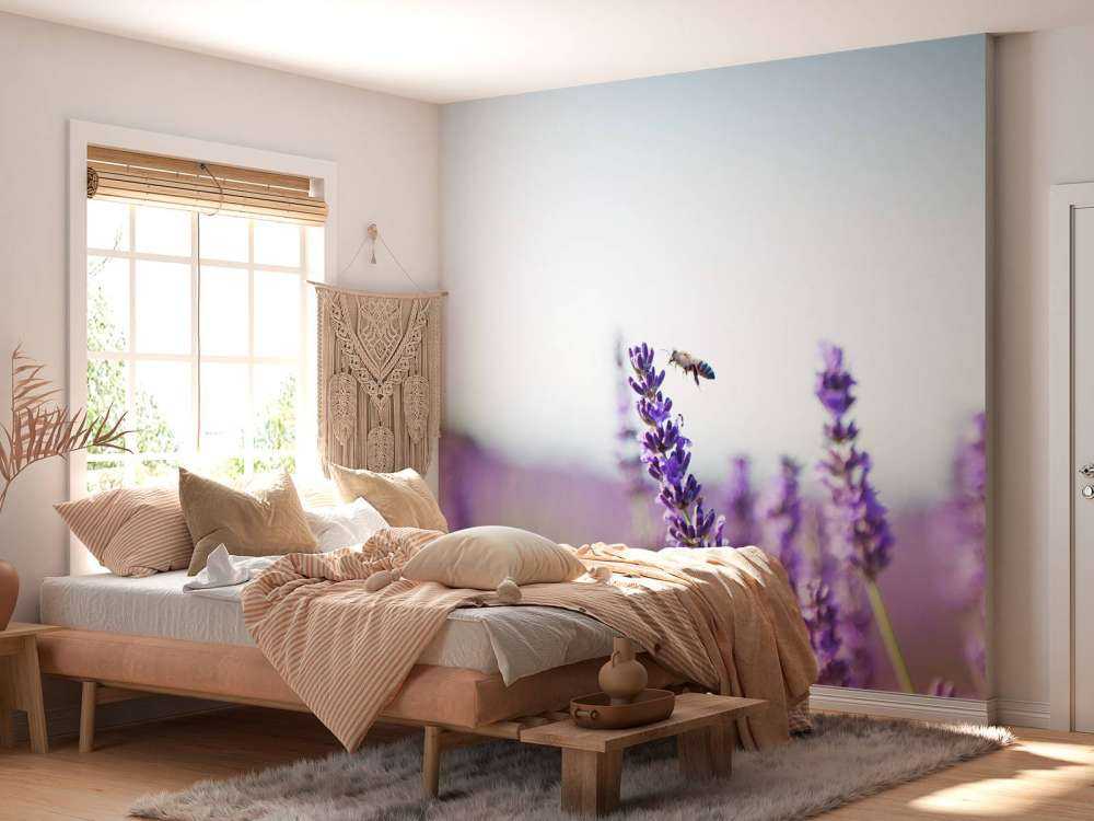 Lavendel steel close-up