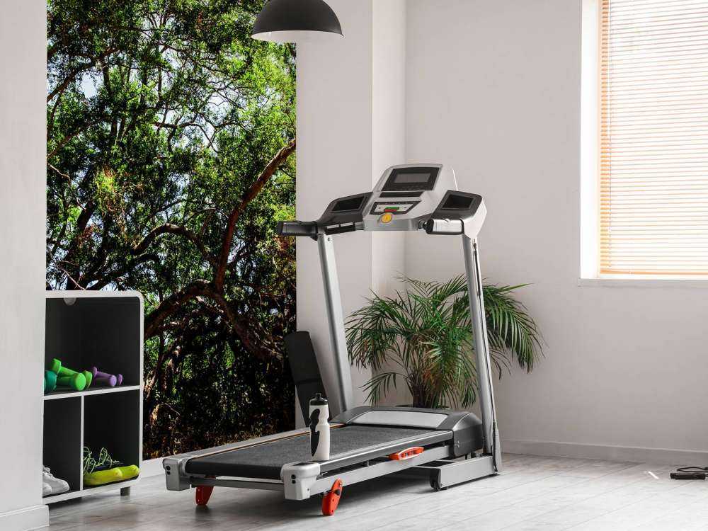Oude Boom in Jungle