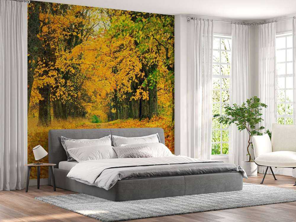 Herfst Bomen met Gele Bladeren