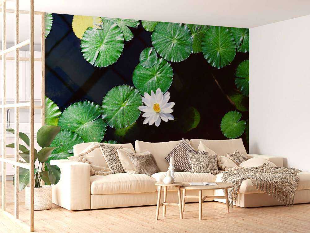 Opvallende witte kleine lotusbloem