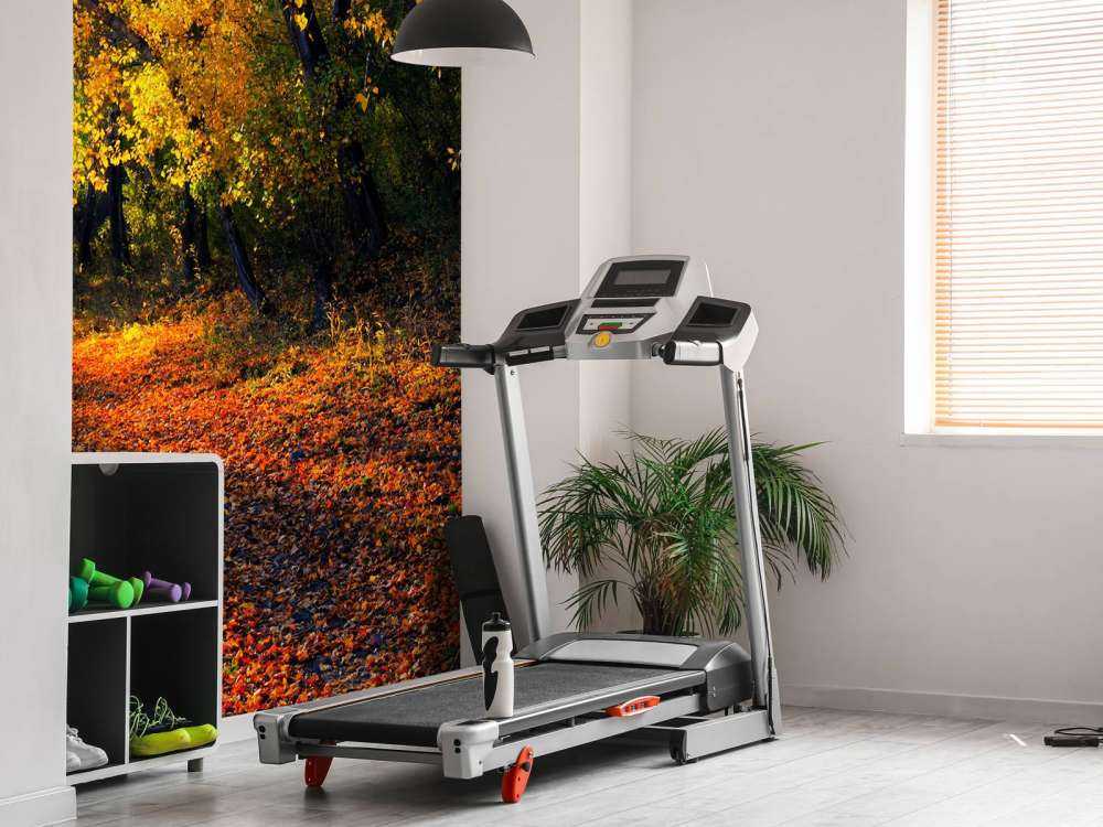 Herfstbos met Bomen en Bladeren