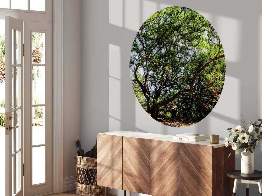 Oude Boom in Jungle