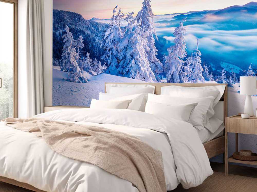 De Karpaten in de winter