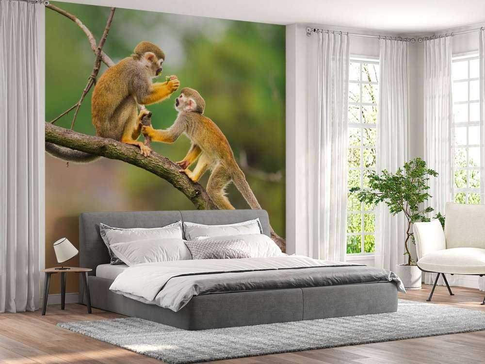 Twee doodshoofdaapjes op een tak